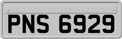PNS6929