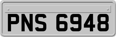 PNS6948