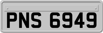 PNS6949