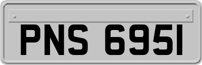 PNS6951
