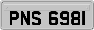 PNS6981
