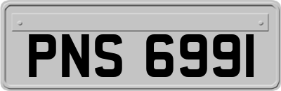 PNS6991