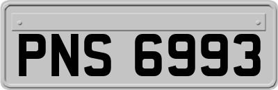 PNS6993