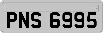 PNS6995