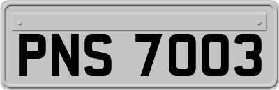 PNS7003