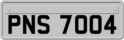 PNS7004