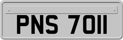 PNS7011
