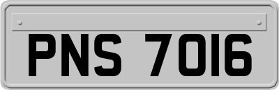PNS7016