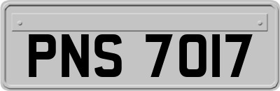 PNS7017