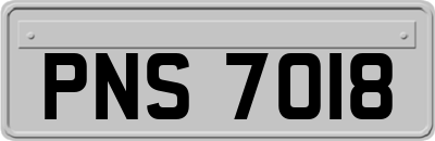PNS7018