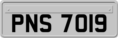PNS7019