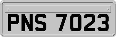 PNS7023
