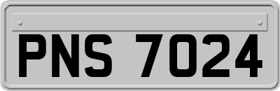 PNS7024