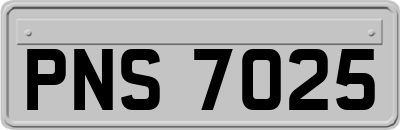 PNS7025