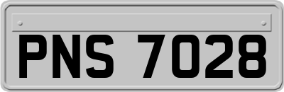 PNS7028