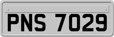 PNS7029