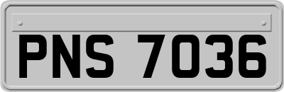 PNS7036