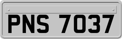 PNS7037