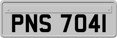 PNS7041