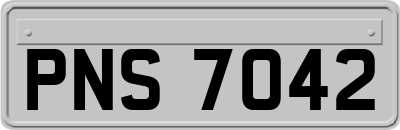 PNS7042