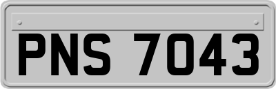 PNS7043