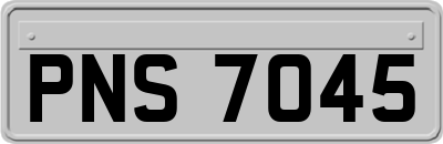 PNS7045
