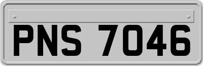 PNS7046