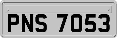 PNS7053