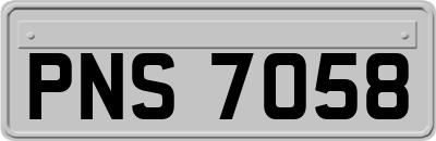 PNS7058