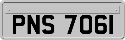PNS7061