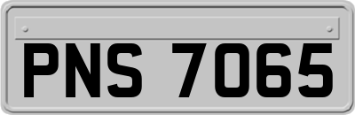 PNS7065