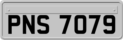 PNS7079