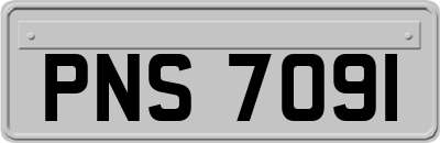 PNS7091
