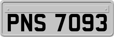 PNS7093