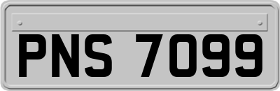 PNS7099