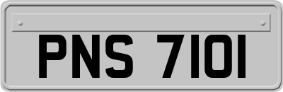 PNS7101