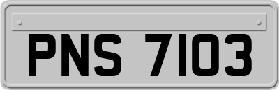 PNS7103