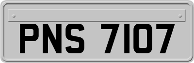 PNS7107