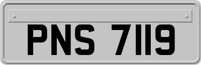 PNS7119