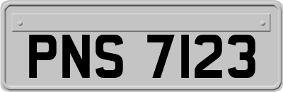PNS7123