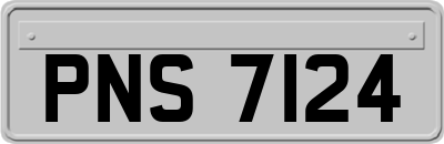 PNS7124
