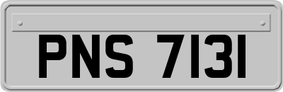 PNS7131