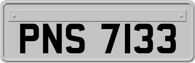 PNS7133