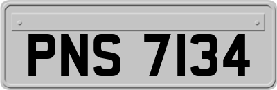 PNS7134