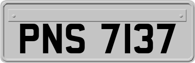 PNS7137