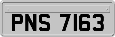 PNS7163