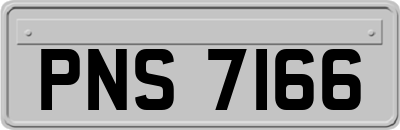 PNS7166