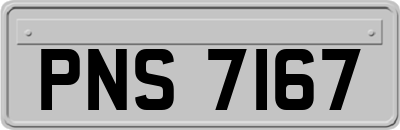 PNS7167