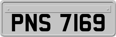 PNS7169