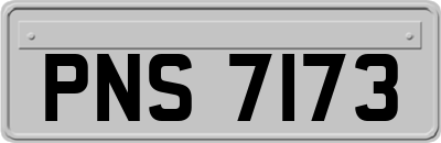 PNS7173